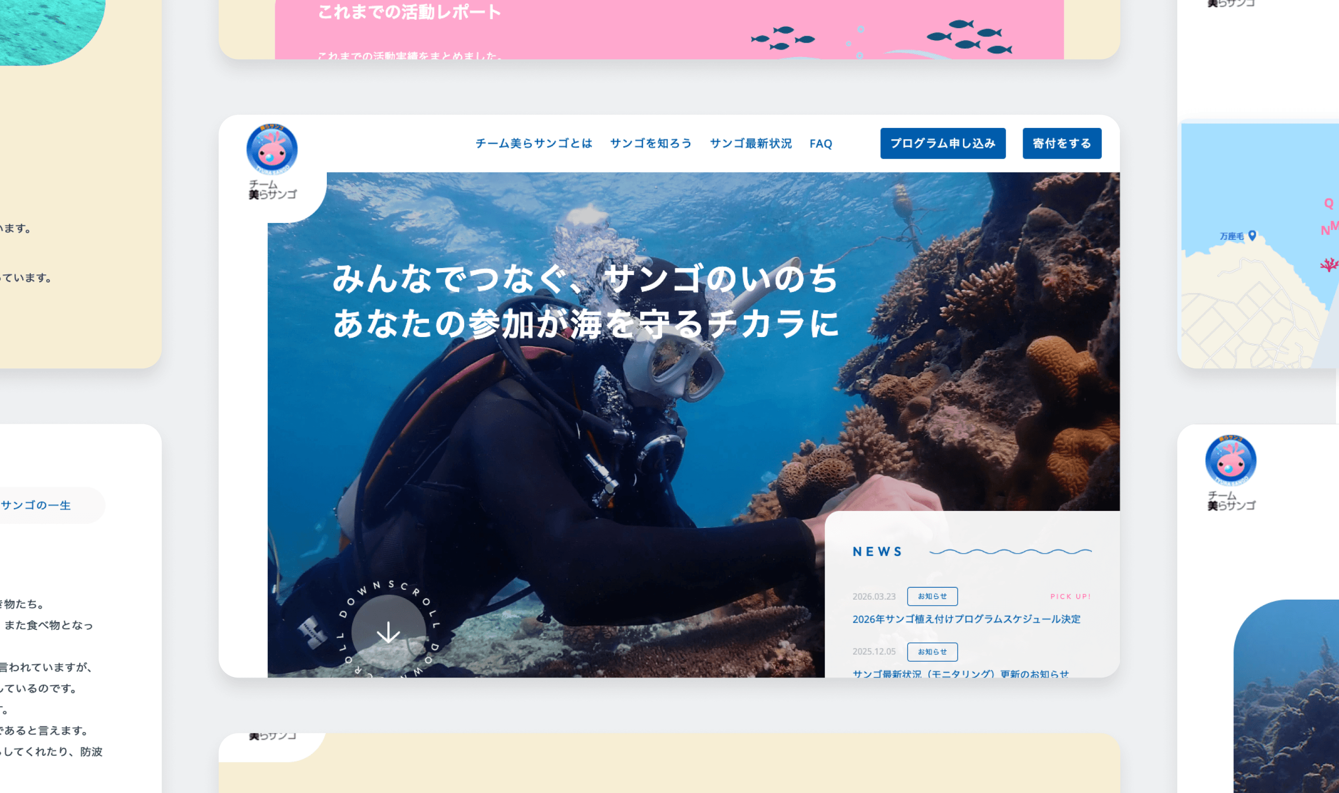沖縄のサンゴ保全の価値と魅力を広く伝えるための公式Webサイトリニューアル
